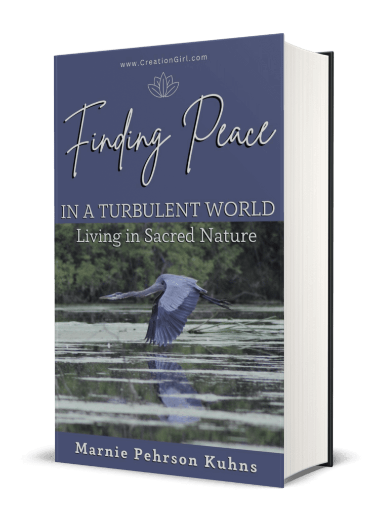 front cover of Marnie Kuhns' book on Finding Peace in Nature teaches how Nature observation of God's messages increase creativity
