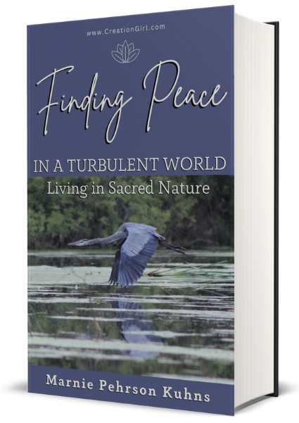 Finding Peace in Turbulent Times: Living in Sacred Nature