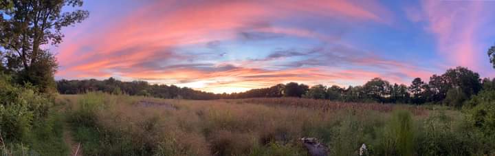 Wide angle view of Sunset at Spirit Tree Farms field, NW Georgia Catoosa County.