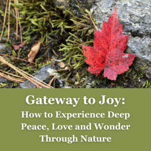 Gateway to Joy: How to Experience Deep Peace, Love and Wonder Through Nature